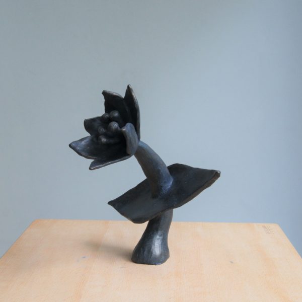 Fleur forte et fragile – Image 6