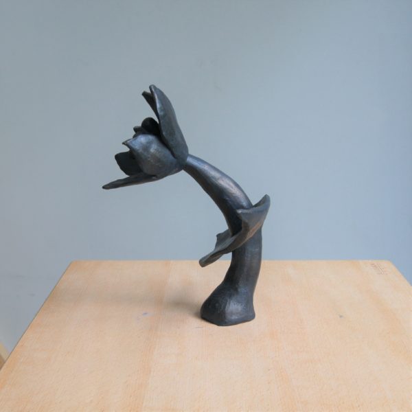 Fleur forte et fragile – Image 5