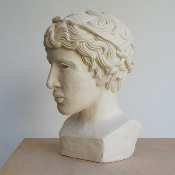Buste grec – Image 8